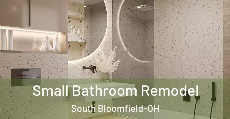 inner Bathroom imggen Small Bathroom Remodel South Bloomfield-OH