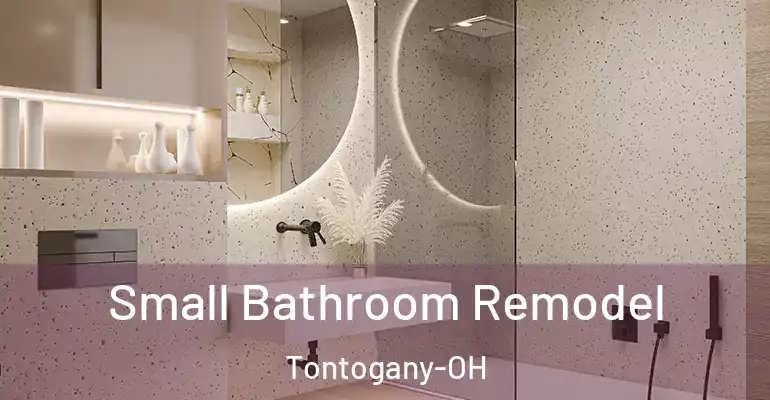 inner Bathroom imggen Small Bathroom Remodel Tontogany-OH