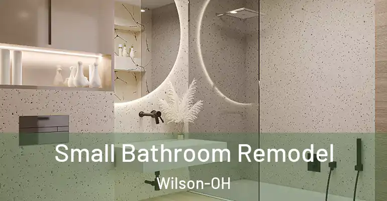 inner Bathroom imggen Small Bathroom Remodel Wilson-OH