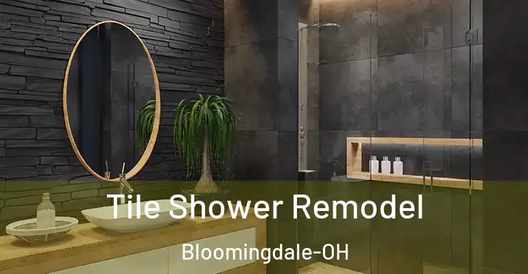inner Bathroom imggen Tile Shower Remodel Bloomingdale-OH