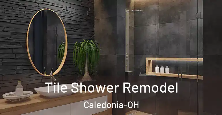 inner Bathroom imggen Tile Shower Remodel Caledonia-OH