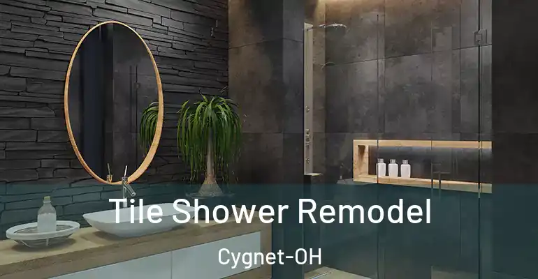 inner Bathroom imggen Tile Shower Remodel Cygnet-OH