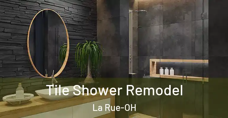 inner Bathroom imggen Tile Shower Remodel La Rue-OH