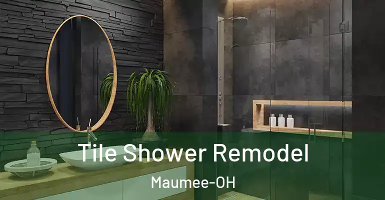 inner Bathroom imggen Tile Shower Remodel Maumee-OH