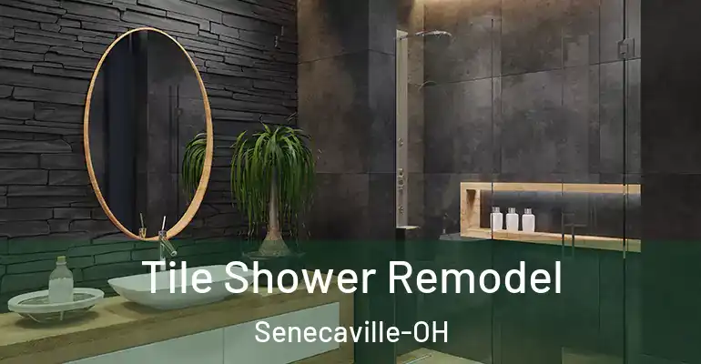 inner Bathroom imggen Tile Shower Remodel Senecaville-OH