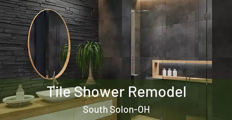 inner Bathroom imggen Tile Shower Remodel South Solon-OH