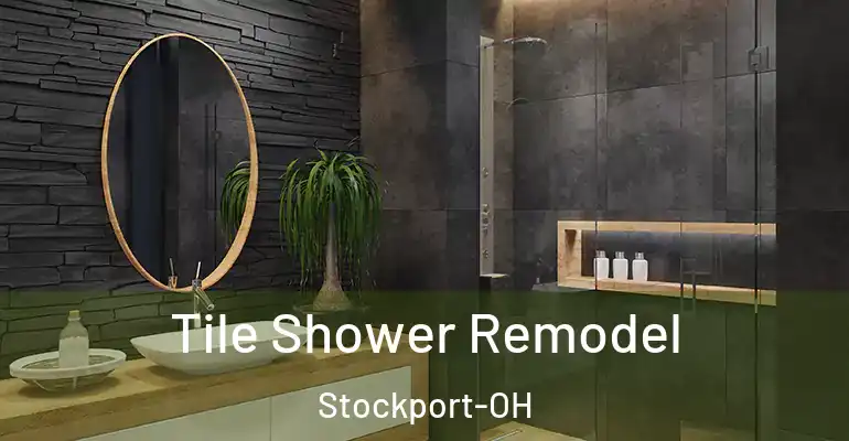 inner Bathroom imggen Tile Shower Remodel Stockport-OH