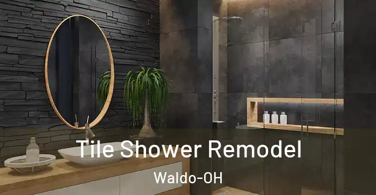 inner Bathroom imggen Tile Shower Remodel Waldo-OH