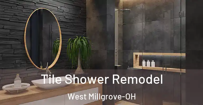 inner Bathroom imggen Tile Shower Remodel West Millgrove-OH