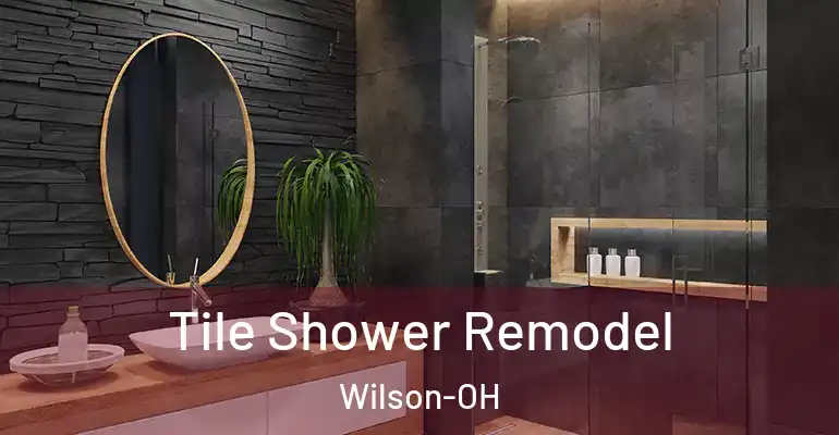inner Bathroom imggen Tile Shower Remodel Wilson-OH