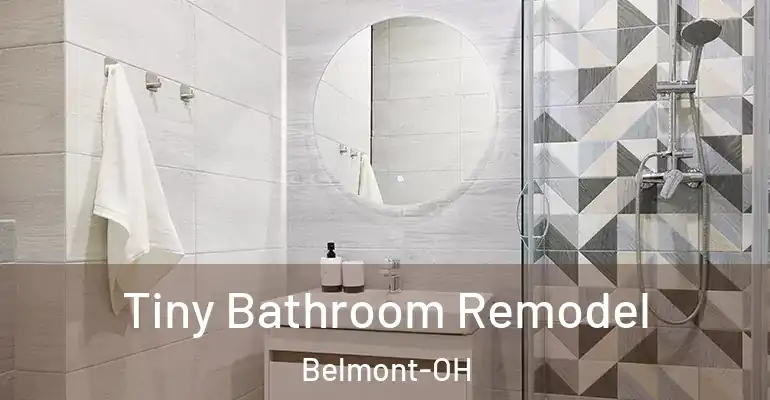 inner Bathroom imggen Tiny Bathroom Remodel Belmont-OH