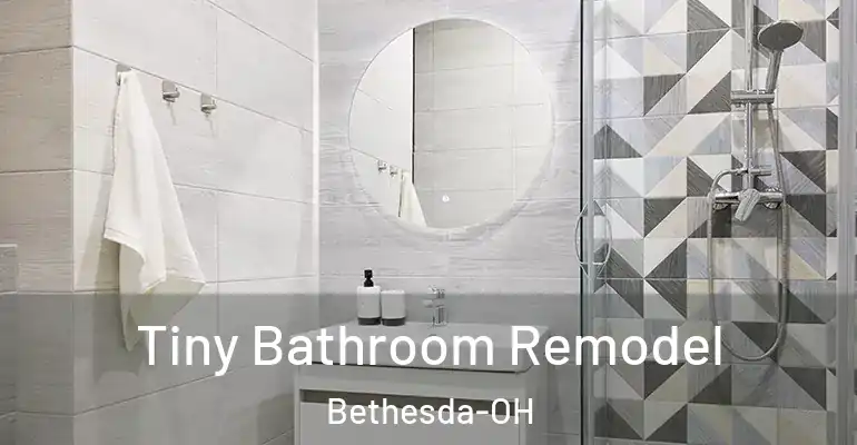 inner Bathroom imggen Tiny Bathroom Remodel Bethesda-OH