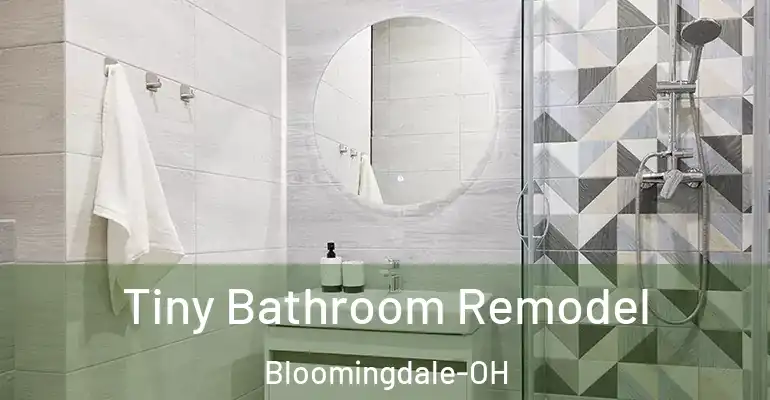 inner Bathroom imggen Tiny Bathroom Remodel Bloomingdale-OH