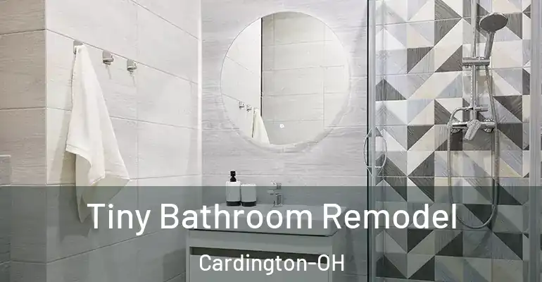 inner Bathroom imggen Tiny Bathroom Remodel Cardington-OH