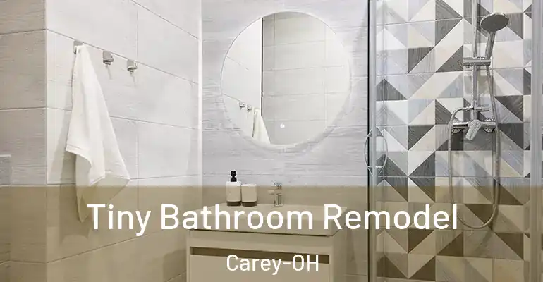 inner Bathroom imggen Tiny Bathroom Remodel Carey-OH