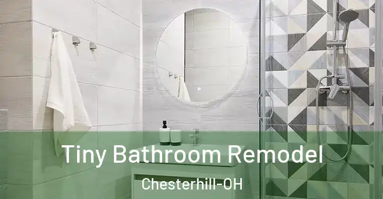 inner Bathroom imggen Tiny Bathroom Remodel Chesterhill-OH