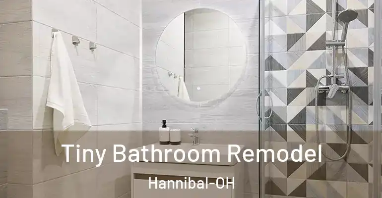 inner Bathroom imggen Tiny Bathroom Remodel Hannibal-OH