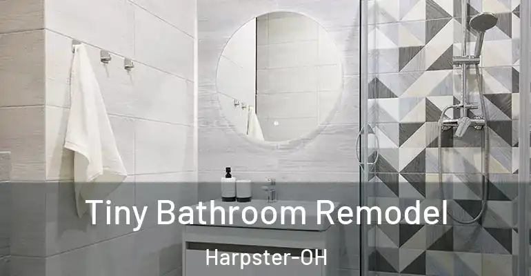 inner Bathroom imggen Tiny Bathroom Remodel Harpster-OH