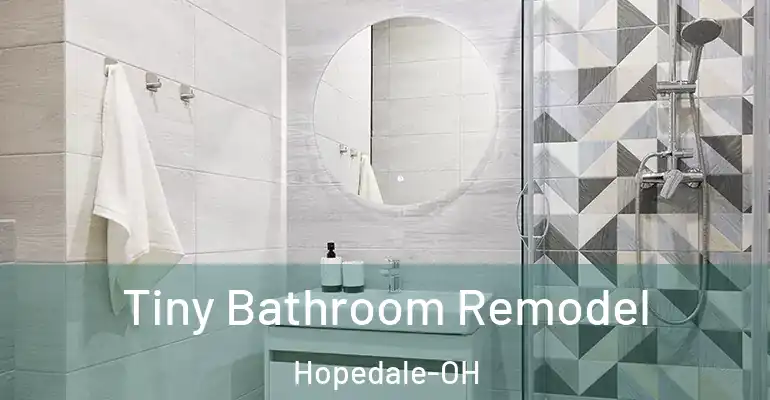 inner Bathroom imggen Tiny Bathroom Remodel Hopedale-OH
