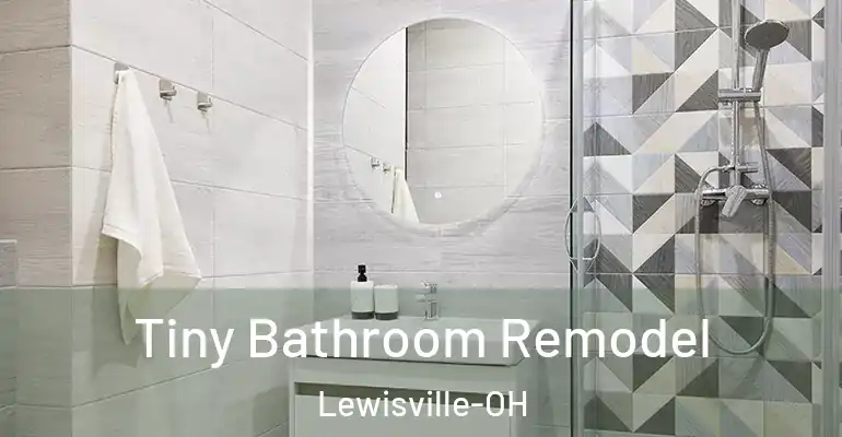 inner Bathroom imggen Tiny Bathroom Remodel Lewisville-OH