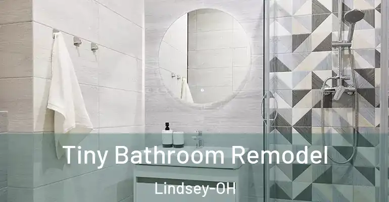 inner Bathroom imggen Tiny Bathroom Remodel Lindsey-OH