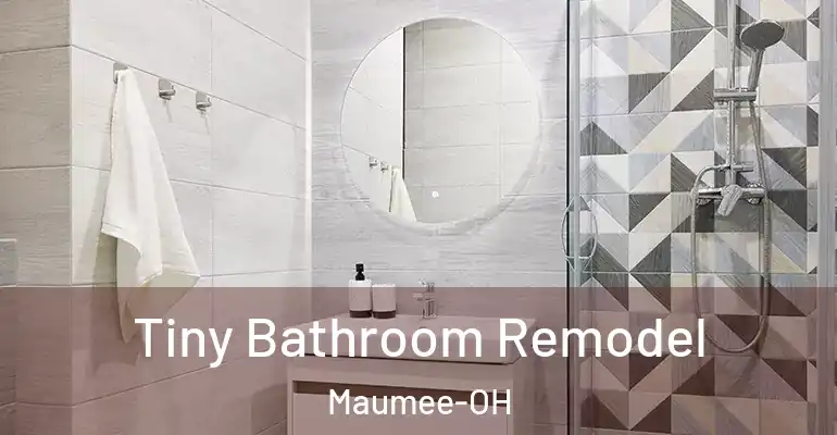 inner Bathroom imggen Tiny Bathroom Remodel Maumee-OH
