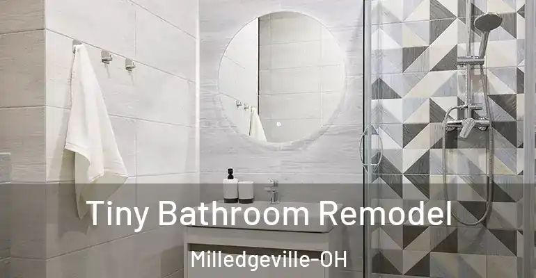 inner Bathroom imggen Tiny Bathroom Remodel Milledgeville-OH
