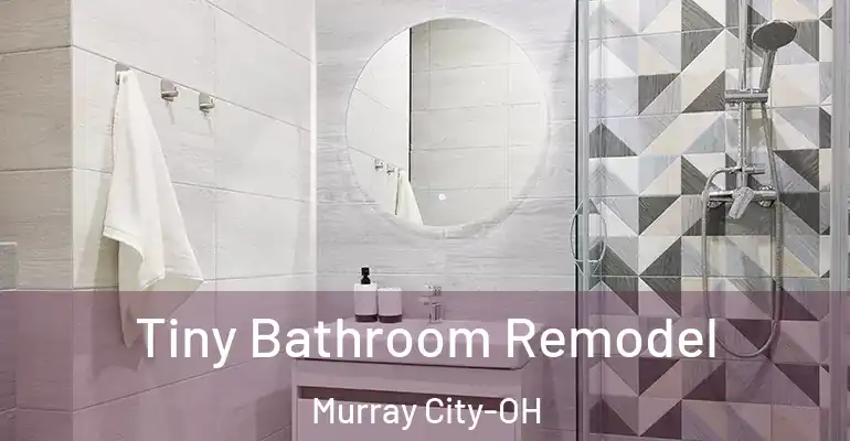inner Bathroom imggen Tiny Bathroom Remodel Murray City-OH