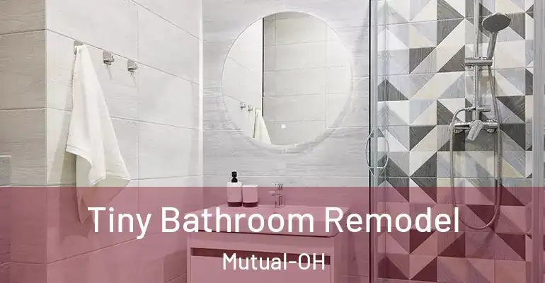 inner Bathroom imggen Tiny Bathroom Remodel Mutual-OH