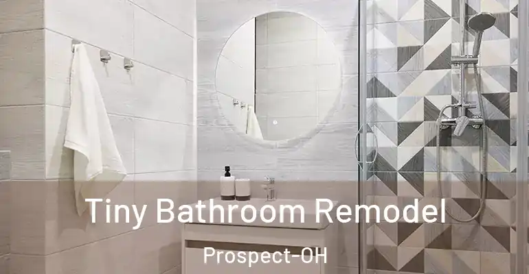 inner Bathroom imggen Tiny Bathroom Remodel Prospect-OH