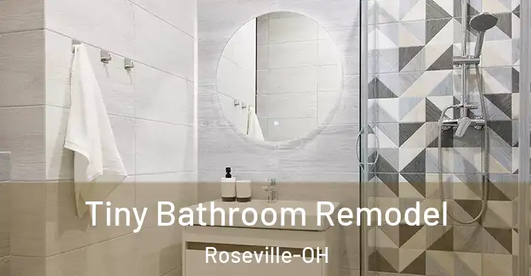 inner Bathroom imggen Tiny Bathroom Remodel Roseville-OH