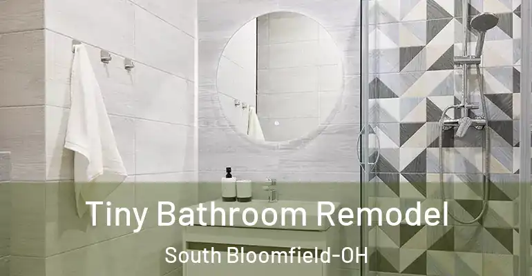 inner Bathroom imggen Tiny Bathroom Remodel South Bloomfield-OH