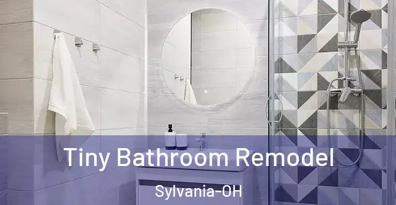 inner Bathroom imggen Tiny Bathroom Remodel Sylvania-OH
