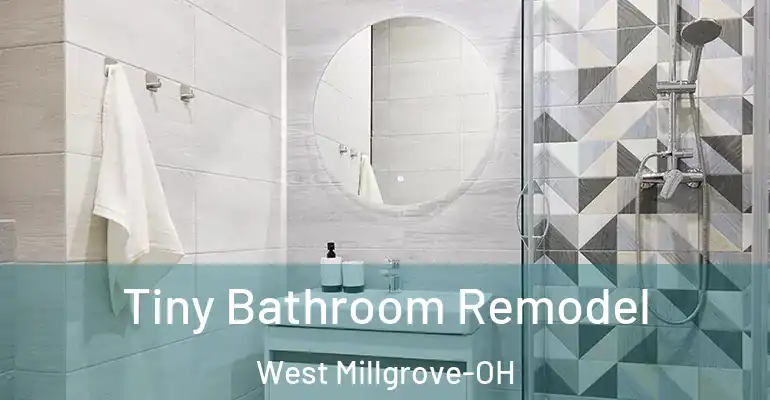 inner Bathroom imggen Tiny Bathroom Remodel West Millgrove-OH