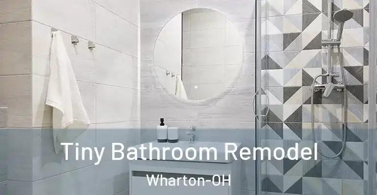 inner Bathroom imggen Tiny Bathroom Remodel Wharton-OH