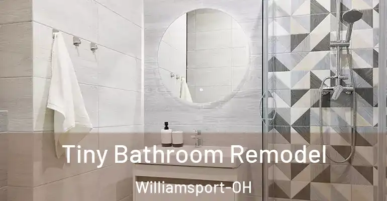 inner Bathroom imggen Tiny Bathroom Remodel Williamsport-OH