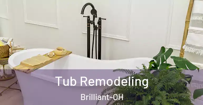 inner Bathroom imggen Tub Remodeling Brilliant-OH