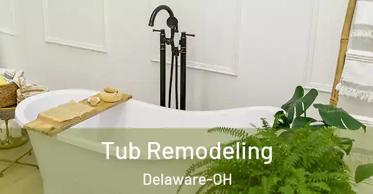 inner Bathroom imggen Tub Remodeling Delaware-OH