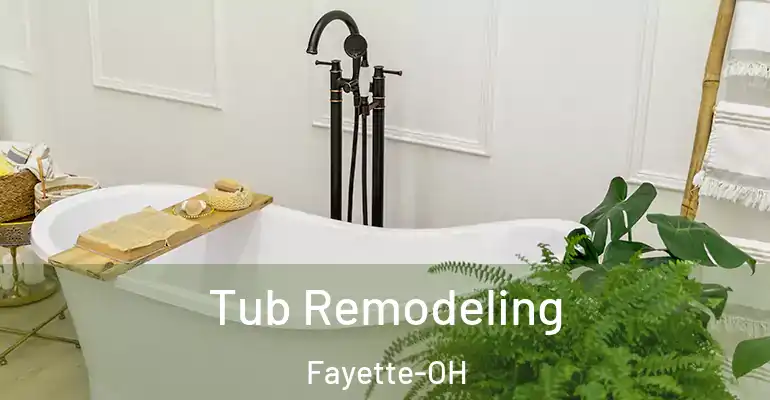 inner Bathroom imggen Tub Remodeling Fayette-OH