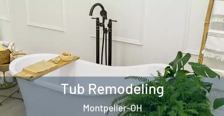 inner Bathroom imggen Tub Remodeling Montpelier-OH