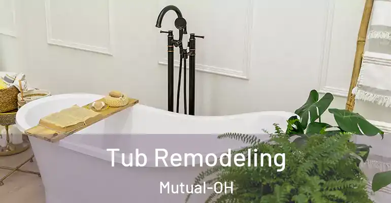 inner Bathroom imggen Tub Remodeling Mutual-OH