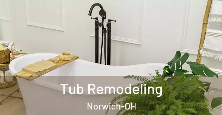 inner Bathroom imggen Tub Remodeling Norwich-OH