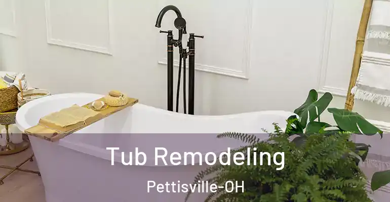 inner Bathroom imggen Tub Remodeling Pettisville-OH