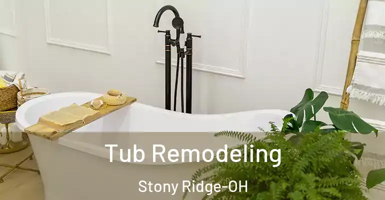 inner Bathroom imggen Tub Remodeling Stony Ridge-OH