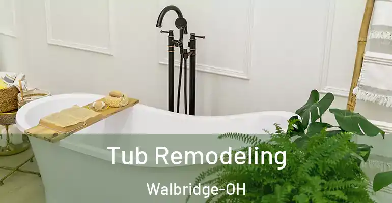 inner Bathroom imggen Tub Remodeling Walbridge-OH
