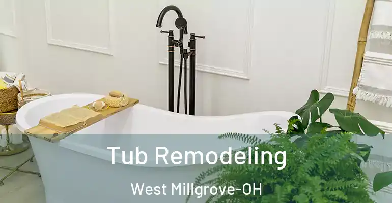 inner Bathroom imggen Tub Remodeling West Millgrove-OH