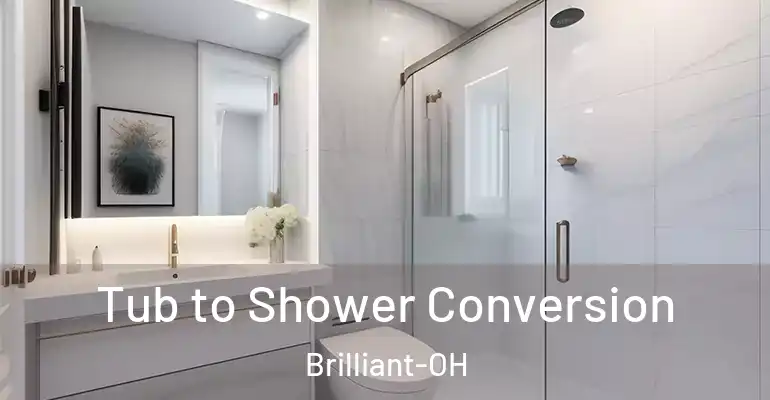 inner Bathroom imggen Tub to Shower Conversion Brilliant-OH