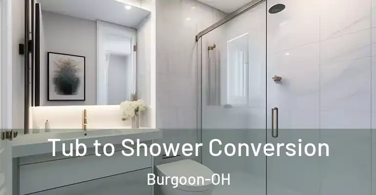 inner Bathroom imggen Tub to Shower Conversion Burgoon-OH