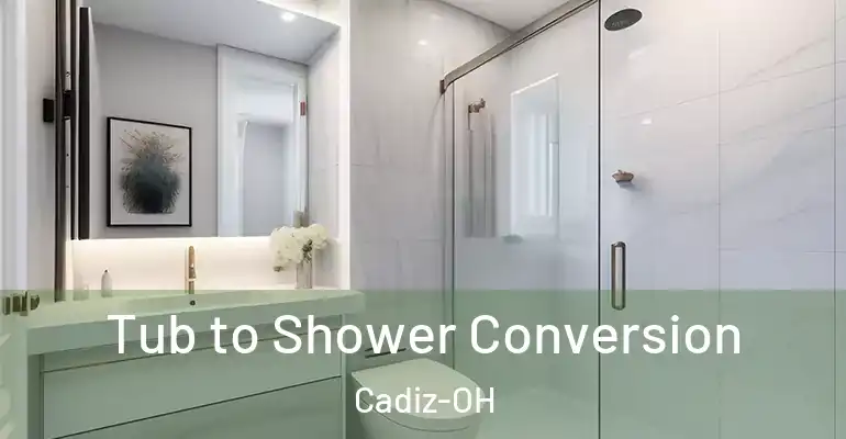 inner Bathroom imggen Tub to Shower Conversion Cadiz-OH