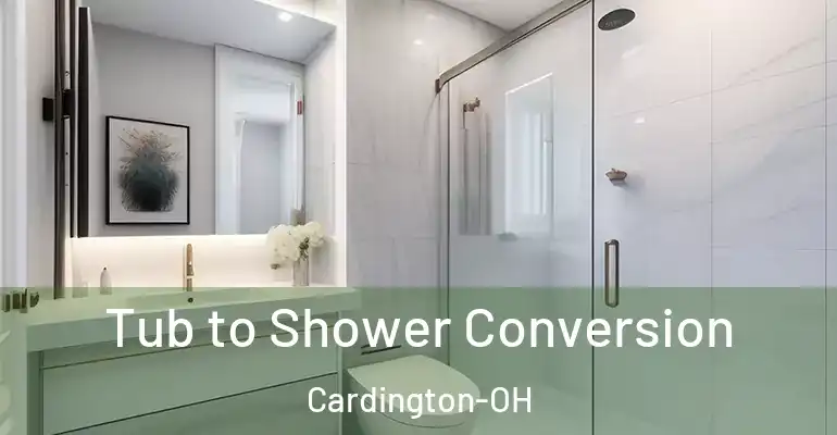 inner Bathroom imggen Tub to Shower Conversion Cardington-OH